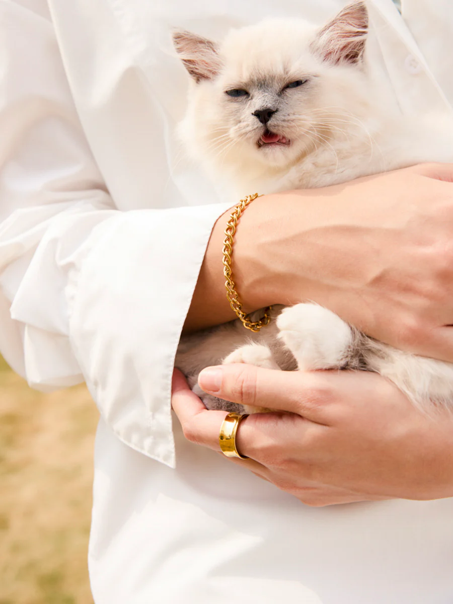 Vorschaubild 8